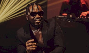 The Year That Was... NSK